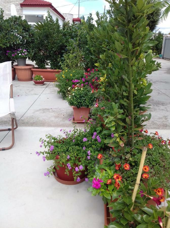Trullo Della Rosa Villa Martina Franca Kültér fotó